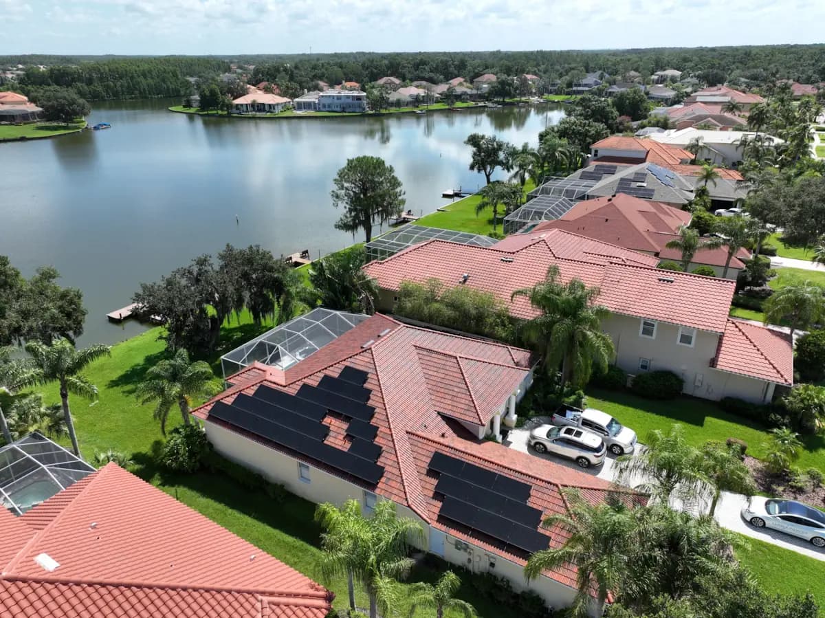 Solar Panels with Palm Tress in Background