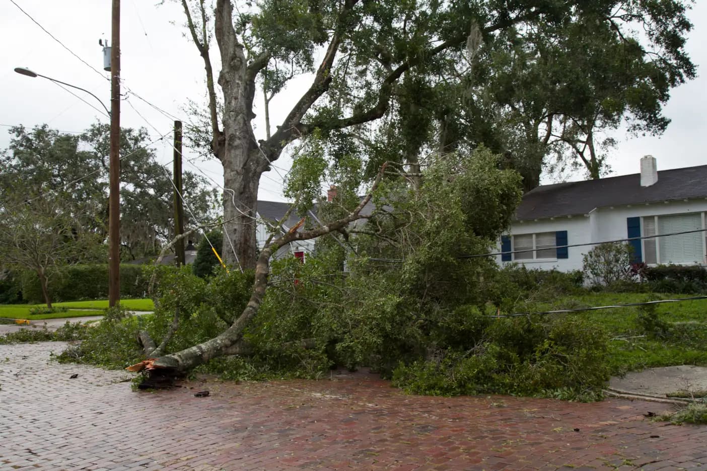Hurricane damage in Orlando neighborhood