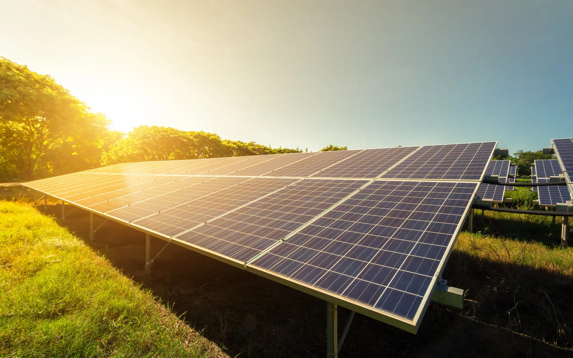 About Us | Lunex Power